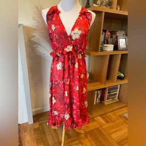 Farm rio red dress size large
